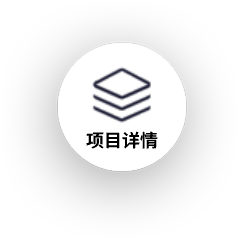 项目
